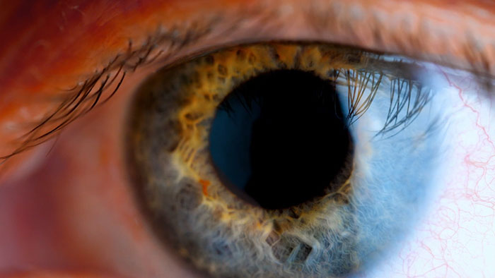 Sistema de ecograf&iacute;a intervencionista EPIQ CVxi