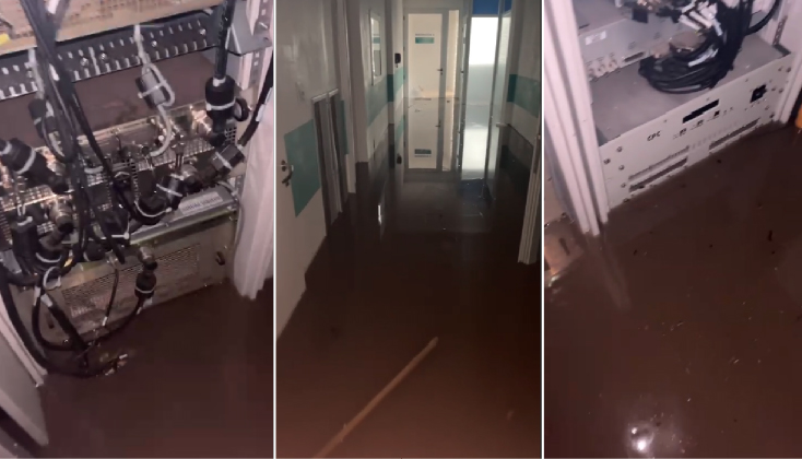 purpose goes beyond business body image 1